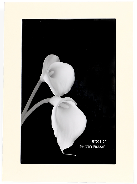 Desire White 8x12 inch Photo Frame