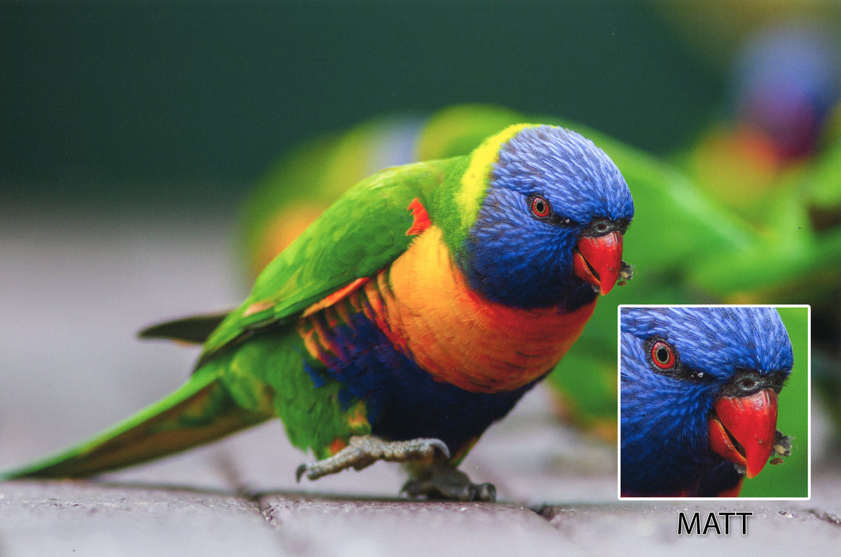 Photo Enlargements Digital Picture Enlargements Online at Best Price