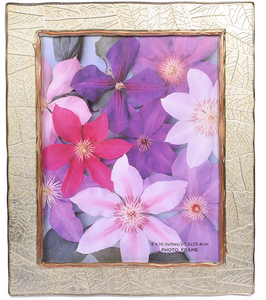 Desire Gold 8x10 inch Photo Frame