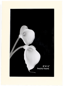 Desire White 8x12 inch Photo Frame