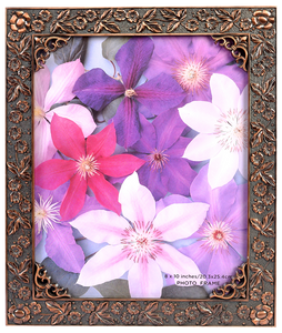 Desire Bronze 8x10 inch Photo Frame